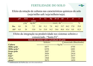 FERTILIDADE DO SOLO
pH M.O. P
resina
K Ca Mg H+Al SB T Al V
g kg-1
mg dm-3
---------------------mmolc dm-3
------------------ %
Pas. 4,6 24 7,3 0,8 11,1 7,8 46,5 19,7 66,2 17,0 29,8
iLP 6,0 26 15,0 3,6 23,0 14,2 24,6 40,8 65,4 0,0 62,3
Efeito da rotação de culturas nas características químicas do solo
(soja/milho safr./soja/milheto/soja).
Efeito do sistema sobre a produção do grão
Solteiro Consorciado (Brachiarão)
Cultura ------------------------------kg ha-1
----------------------------
Milho grão 6877 6795
Milho grão* 6354 6401
Sorgo grão 3687 3581
Soja 3056 2414
Soja* 2971 2677
Arroz 1968 1503
Arroz* 2072 1859
* Subdosagens de herbicidas em pós-emergência
Efeito da integração na produtividade nos sistemas solteiro e
consorciado -“Santa Fé”.
 