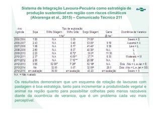 Os resultados demonstram que um esquema de rotação de lavouras com
pastagem é boa estratégia, tanto para incrementar a produtividade vegetal e
animal na região quanto para possibilitar colheitas pelo menos razoáveis
diante da ocorrência de veranico, que é um problema cada vez mais
perceptível.
Sistema de Integração Lavoura-Pecuária como estratégia de
produção sustentável em região com riscos climáticos
(Alvarenga et al., 2015) – Comunicado Técnico 211
 