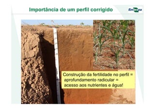 Construção da fertilidade no perfil =
aprofundamento radicular =
acesso aos nutrientes e água!
Importância de um perfil corrigido
 