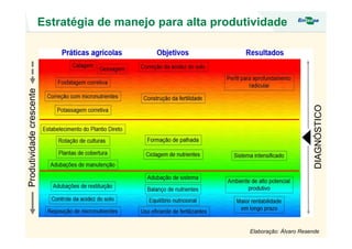 Estratégia de manejo para alta produtividade
Elaboração: Álvaro Resende
DIAGNÓSTICO
Produtividadecrescente
 