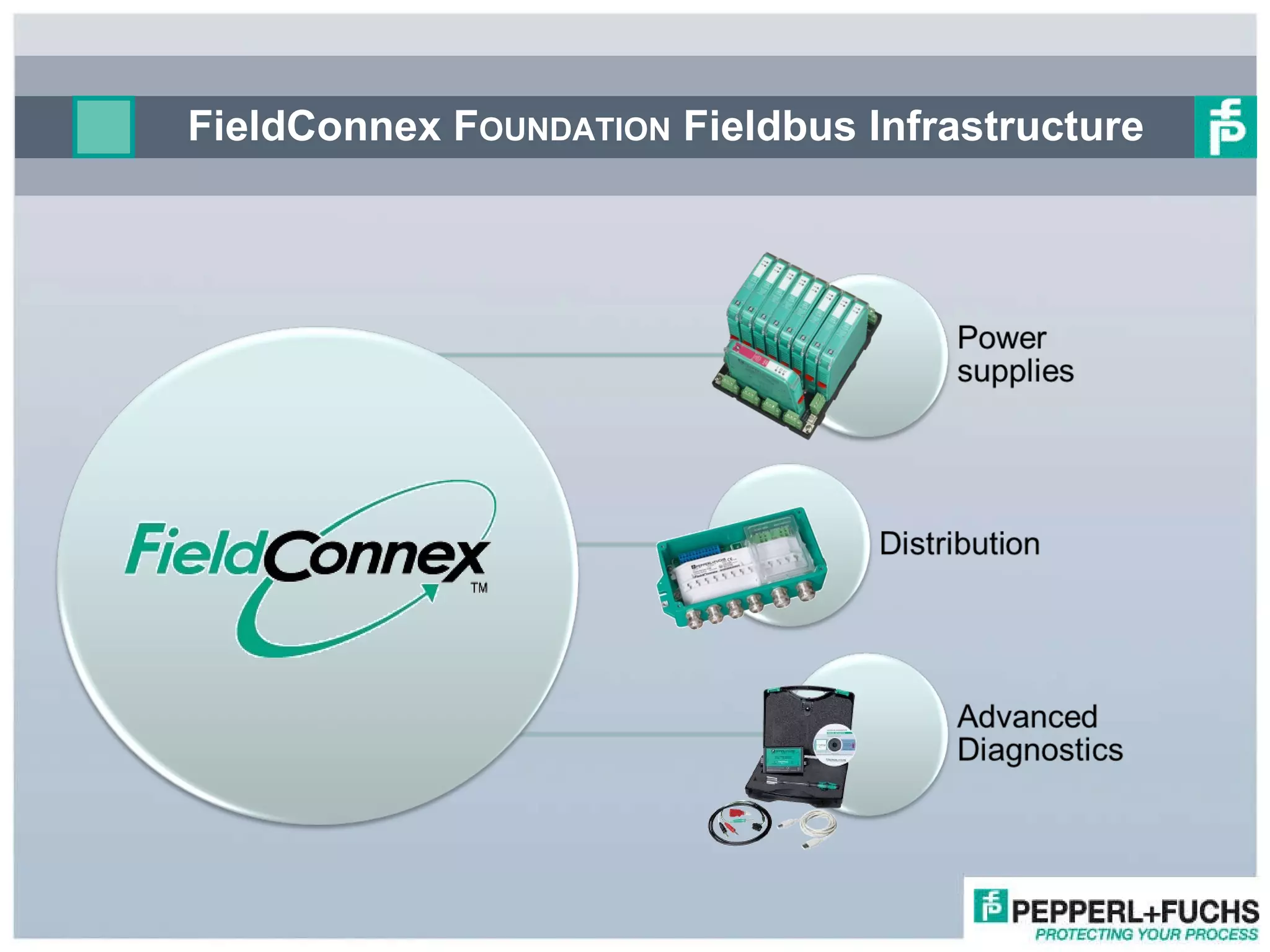 FieldConnex F OUNDATION  Fieldbus Infrastructure 