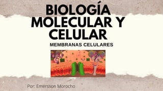 BIOLOGÍA
MOLECULAR Y
CELULAR
MEMBRANAS CELULARES
Por: Emersson Morocho
 