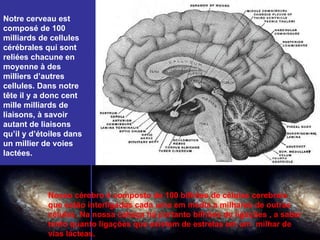 Notre cerveau est composé de 100 milliards de cellules cérébrales qui sont reliées chacune en moyenne à des milliers d’autres cellules. Dans notre tête il y a donc cent mille milliards de liaisons, à savoir autant de liaisons qu’il y d’étoiles dans un millier de voies lactées.  Nosso cérebro é composto de 100 bilhões de células cerebrais que estão interligadas cada uma em média a milhares de outras células. Na nossa cabeça há portanto bilhões de ligações , a saber tanto quanto ligações que existem de estrelas em um  milhar de vias lácteas. 