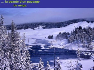 …  la beauté d’un paysage de neige. 