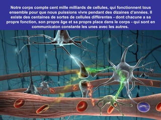 Notre corps compte cent mille milliards de cellules, qui fonctionnent tous
 ensemble pour que nous puissions vivre pendant des dizaines d’années. Il
  existe des centaines de sortes de cellules différentes - dont chacune a sa
propre fonction, son propre âge et sa propre place dans le corps - qui sont en
             communicaton constante les unes avec les autres.
 