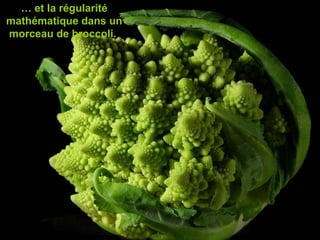 … et la régularité
mathématique dans un
morceau de broccoli.
 