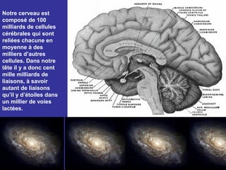 Notre cerveau est
composé de 100
milliards de cellules
cérébrales qui sont
reliées chacune en
moyenne à des
milliers d’autres
cellules. Dans notre
tête il y a donc cent
mille milliards de
liaisons, à savoir
autant de liaisons
qu’il y d’étoiles dans
un millier de voies
lactées.
 