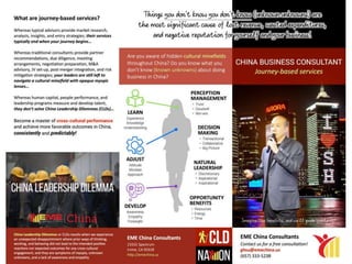 CHINA BUSINESS CONSULTING Journey-based Services
