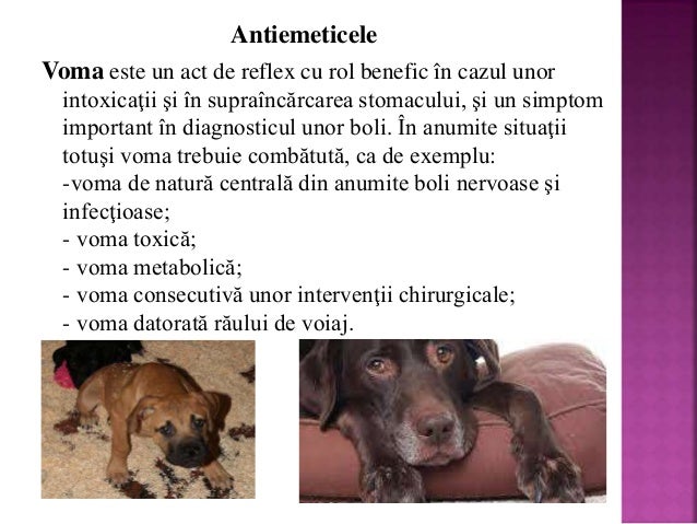Emeticele și antiemeticele la monogastrice