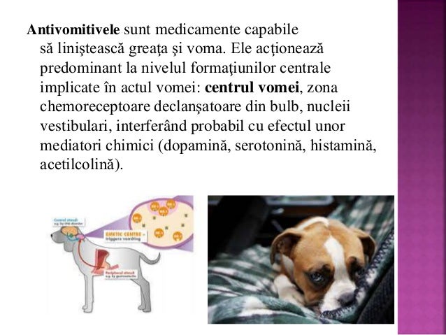 Emeticele și antiemeticele la monogastrice