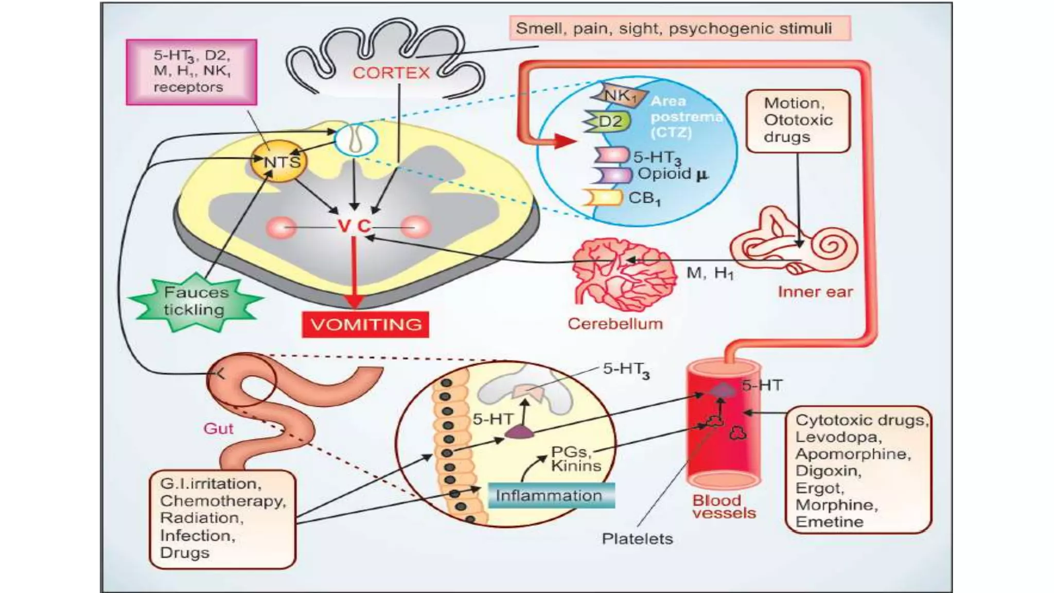 Emetics & antiemetics | PPTX
