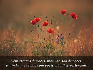 Vêm através de vocês, mas não são de vocês  e, ainda que vivam com vocês, não lhes pertencem. 
