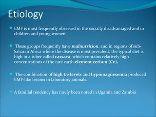 Etiology
EMF is most frequently observed in the socially disadvantaged and in
children and young women.
 These groups frequently have malnutrition, and in regions of sub-
Saharan Africa where the disease is most prevalent, the typical diet is
high in a tuber called cassava, which contains relatively high
concentrations of the rare earth element cerium (Ce).
 The combination of high Ce levels and hypomagnesemia produced
EMF-like lesions in laboratory animals.
A familial tendency has rarely been noted in Uganda and Zambia
 