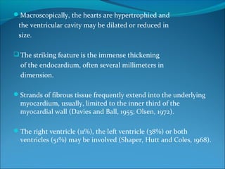 Macroscopically, the hearts are hypertrophied and
the ventricular cavity may be dilated or reduced in
size.
The striking feature is the immense thickening
of the endocardium, often several millimeters in
dimension.
Strands of fibrous tissue frequently extend into the underlying
myocardium, usually, limited to the inner third of the
myocardial wall (Davies and Ball, 1955; Olsen, 1972).
The right ventricle (11%), the left ventricle (38%) or both
ventricles (51%) may be involved (Shaper, Hutt and Coles, 1968).
 