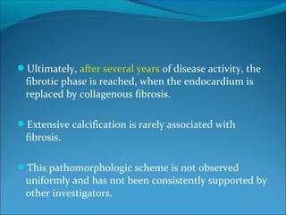 Ultimately, after several years of disease activity, the
fibrotic phase is reached, when the endocardium is
replaced by collagenous fibrosis.
Extensive calcification is rarely associated with
fibrosis.
This pathomorphologic scheme is not observed
uniformly and has not been consistently supported by
other investigators.
 