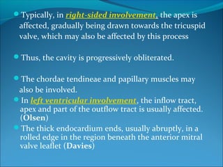 Typically, in right-sided involvement, the apex is
affected, gradually being drawn towards the tricuspid
valve, which may also be affected by this process
Thus, the cavity is progressively obliterated.
The chordae tendineae and papillary muscles may
also be involved.
In left ventricular involvement, the inflow tract,
apex and part of the outflow tract is usually affected.
(Olsen)
The thick endocardium ends, usually abruptly, in a
rolled edge in the region beneath the anterior mitral
valve leaflet (Davies)
 