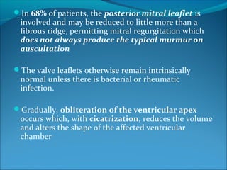In 68% of patients, the posterior mitral leaflet is
involved and may be reduced to little more than a
fibrous ridge, permitting mitral regurgitation which
does not always produce the typical murmur on
auscultation
The valve leaflets otherwise remain intrinsically
normal unless there is bacterial or rheumatic
infection.
Gradually, obliteration of the ventricular apex
occurs which, with cicatrization, reduces the volume
and alters the shape of the affected ventricular
chamber
 