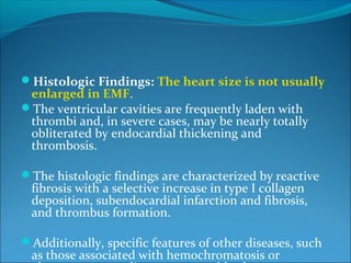 Histologic Findings: The heart size is not usually
enlarged in EMF.
The ventricular cavities are frequently laden with
thrombi and, in severe cases, may be nearly totally
obliterated by endocardial thickening and
thrombosis.
The histologic findings are characterized by reactive
fibrosis with a selective increase in type I collagen
deposition, subendocardial infarction and fibrosis,
and thrombus formation.
Additionally, specific features of other diseases, such
as those associated with hemochromatosis or
 