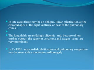 In late cases there may be an oblique, linear calcification at the
elevated apex of the right ventricle or base of the pulmonary
conus .

The lung fields are strikingly oligemic and, because of low
cardiac output, the superior vena cava and azygos veins are
very prominent.
In LV EMF , myocardial calcification and pulmonary congestion
may be seen with a moderate cardiomegaly
 