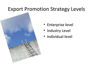 Export Promotion Strategy Levels Enterprise level Industry Level  Individual level 