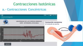 a.- Contracciones Concéntricas
Contracciones Isotónicas
 