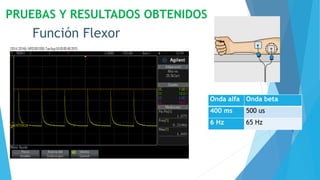 PRUEBAS Y RESULTADOS OBTENIDOS
Función Flexor
Onda alfa Onda beta
400 ms 500 us
6 Hz 65 Hz
 