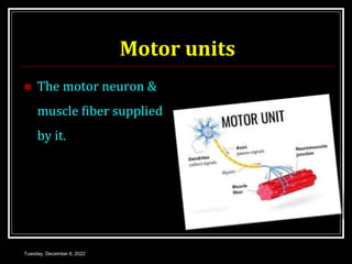 Motor units
 The motor neuron &
muscle fiber supplied
by it.
Tuesday, December 6, 2022
 