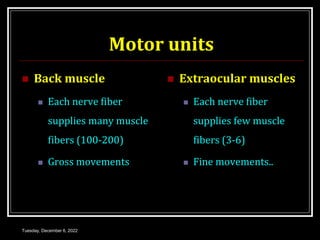Motor units
 Back muscle
 Each nerve fiber
supplies many muscle
fibers (100-200)
 Gross movements
 Extraocular muscles
 Each nerve fiber
supplies few muscle
fibers (3-6)
 Fine movements..
Tuesday, December 6, 2022
 