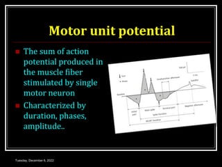 Motor unit potential
 The sum of action
potential produced in
the muscle fiber
stimulated by single
motor neuron
 Characterized by
duration, phases,
amplitude..
Tuesday, December 6, 2022
 