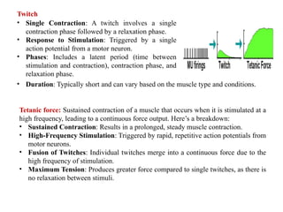 • Single Contraction: A twitch involves a single
contraction phase followed by a relaxation phase.
• Response to Stimulation: Triggered by a single
action potential from a motor neuron.
• Phases: Includes a latent period (time between
stimulation and contraction), contraction phase, and
relaxation phase.
Twitch
Tetanic force: Sustained contraction of a muscle that occurs when it is stimulated at a
high frequency, leading to a continuous force output. Here’s a breakdown:
• Sustained Contraction: Results in a prolonged, steady muscle contraction.
• High-Frequency Stimulation: Triggered by rapid, repetitive action potentials from
motor neurons.
• Fusion of Twitches: Individual twitches merge into a continuous force due to the
high frequency of stimulation.
• Maximum Tension: Produces greater force compared to single twitches, as there is
no relaxation between stimuli.
• Duration: Typically short and can vary based on the muscle type and conditions.
 
