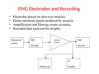 • Electrodes placed on skin over muscles.
• Detect electrical signals produced by muscles.
• Amplification and filtering ensure accuracy.
• Recorded data analyzed for insights.
EMG Electrodes and Recording
 