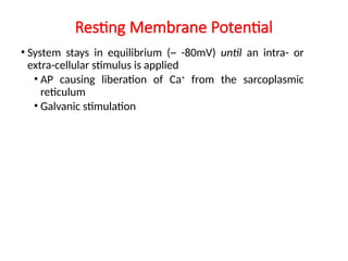 Resting Membrane Potential
• System stays in equilibrium (~ -80mV) until an intra- or
extra-cellular stimulus is applied
• AP causing liberation of Ca+
from the sarcoplasmic
reticulum
• Galvanic stimulation
 