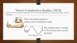 Emg and ncs slides chapter 1 and 2 | PPTX