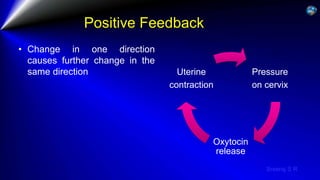Sreeraj S R
Positive Feedback
• Change in one direction
causes further change in the
same direction Pressure
on cervix
Oxytocin
release
Uterine
contraction
 