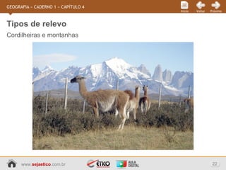 www.sejaetico.com.br 22
PróximoVoltarInício
GEOGRAFIA » CADERNO 1 » CAPÍTULO 4
Cordilheiras e montanhas
Tipos de relevo
 
