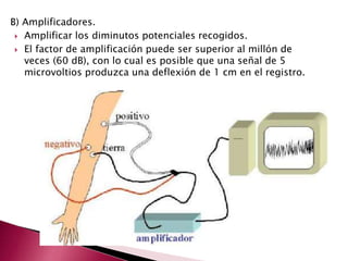 B) Amplificadores.
 Amplificar los diminutos potenciales recogidos.
 El factor de amplificación puede ser superior al millón de
veces (60 dB), con lo cual es posible que una señal de 5
microvoltios produzca una deflexión de 1 cm en el registro.
 
