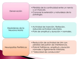 •Pérdida de la continuidad entre un nervio
y un músculo.
•Conocer la extensión y naturaleza de la
patología.
Denervación
•Actividad de inserción, fibrilación,
reducida actividad voluntaria.
•PUM de amplitud y duración > normales.
Desórdenes de la
Neurona Motriz
•Reducción de actividad de UM con
pérdida del patrón de interferencia.
•PUM Polifásicas, amplitud y duración
normales o ligeramente inferiores.
•“Velocidad de conducción”
Neuropatías Periféricas
 