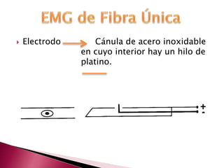 Electrodo Cánula de acero inoxidable
en cuyo interior hay un hilo de
platino.
 
