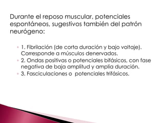 Durante el reposo muscular, potenciales
espontáneos, sugestivos también del patrón
neurógeno:
◦ 1. Fibrilación (de corta duración y bajo voltaje).
Corresponde a músculos denervados.
◦ 2. Ondas positivas o potenciales bifásicos, con fase
negativa de baja amplitud y amplia duración.
◦ 3. Fasciculaciones o potenciales trifásicos.
 