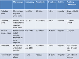 Morphology Frequency Amplitude Duration rhythm Auditory
component
End plate
noise
Monophasic
Negative
wave form
20-40Hz 10-50μv 1-2ms Irregular Sea shell held
to ear
End plate
spike
Biphasic with
initial Sharpe
negative
wave form
5-50Hz 100-200μv 3-4ms Irregular Cracking
sound
Positive
Sharpe wave
Biphasic with
initial
positive
followed by
slow
negative
0.5-30Hz 20-200μv 10-15ms Regular Dull pop
Fibrillation Bi/Triphasic
with initial
positive
1-30Hz
Avg 13 Hz
20-500μv 1-5ms Regular High pitched
,rain drop on
roof
Fasciculation Tri/poly
phasic
1-2Hz >300μv 15-20ms Irregular Low pitched
popping
 