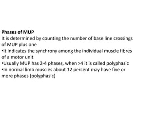 Phases of MUP
It is determined by counting the number of base line crossings
of MUP plus one
•It indicates the synchrony among the individual muscle fibres
of a motor unit
•Usually MUP has 2-4 phases, when >4 it is called polyphasic
•In normal limb muscles about 12 percent may have five or
more phases (polyphasic)
 