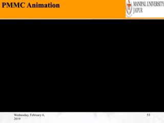 PMMC Animation
Wednesday, February 6,
2019
53
 