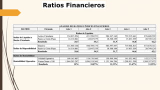 Ratios Financieros
 
