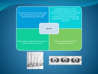 Un tejido vivo como el musculo puede
estar considerado que esta cargado
electricamente por moleculas
moléculas que tienen ciertas
propiedades eléctricas, y que el
comportamiento eléctrico del músculo
en su conjunto en las diversas
circunstancias fue el resultados del
comportamiento de estas moléculas
electricas
Ahora sabemos que estas moleculas son
sodio potasio y otros iones.
Estos son respomsables de los
fenomenos electricos
aportes
 