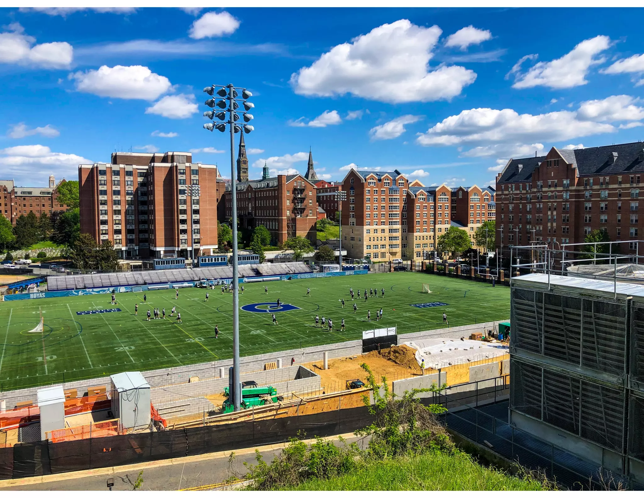Amelia at Georgetown University 
