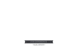 JOB EXPERIENCE
 