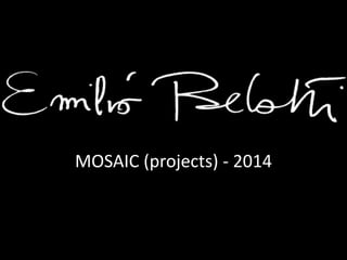 MOSAIC (projects) - 2014
 