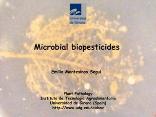 Microbial biopesticides
Plant Pathology
Instituto de Tecnología Agroalimentaria
Universidad de Girona (Spain)
http://www.udg.edu/cidsav
Emilio Montesinos Seguí
 