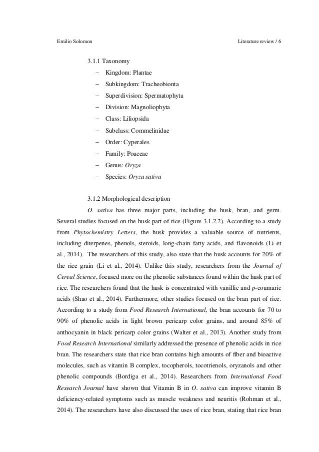 how important is english essay start