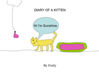 DIARY OF A KITTEN By Emily Hi I’m Sunshine. 